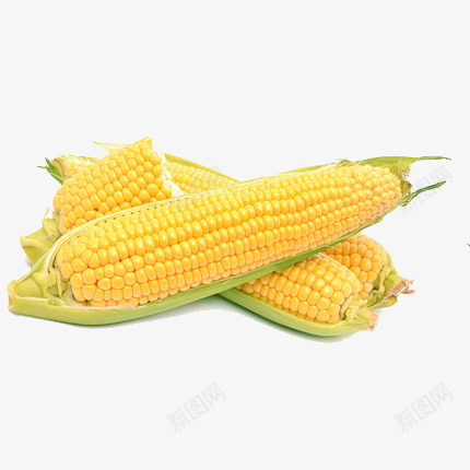 金色玉米颗粒png免抠素材_88icon https://88icon.com 农作物 新鲜 水果 玉米 玉米棒 玉米粒 甜玉米 蔬菜