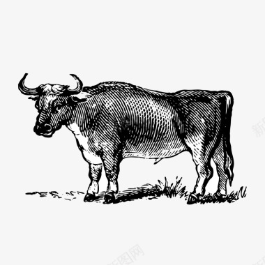装饰老牛装饰案矢量图图标图标