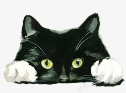 手绘水彩黑色小猫素材