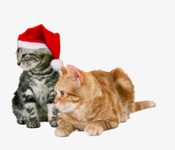 猫咪圣诞节元素素材