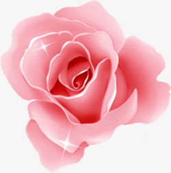 粉色手绘星光玫瑰七夕情人节素材