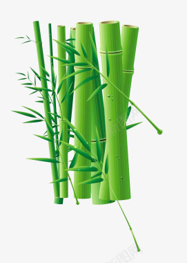 卡通竹子手绘竹子图标图标