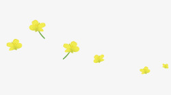 手绘植物黄色油菜花插画素材