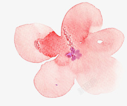 粉色花卉创意工作室素材