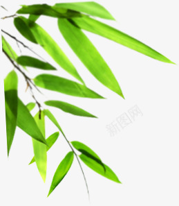 创意合成效果绿色的竹子造型png免抠素材_88icon https://88icon.com 创意 合成 效果 竹子 绿色 造型