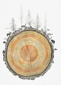 树干插画素材树干高清图片