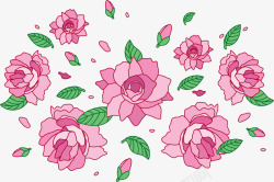 手绘山茶花素材