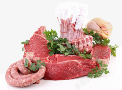 精品多肉肉类高清图片