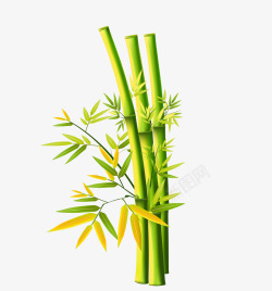 绿色简约竹子装饰图案素材