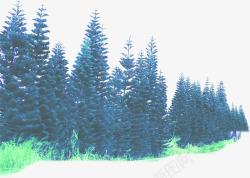 创意摄影环境渲染效果森林素材