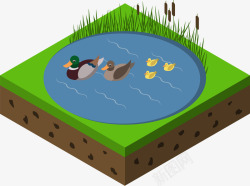 25D卡通农场池塘野鸭插画矢量图素材