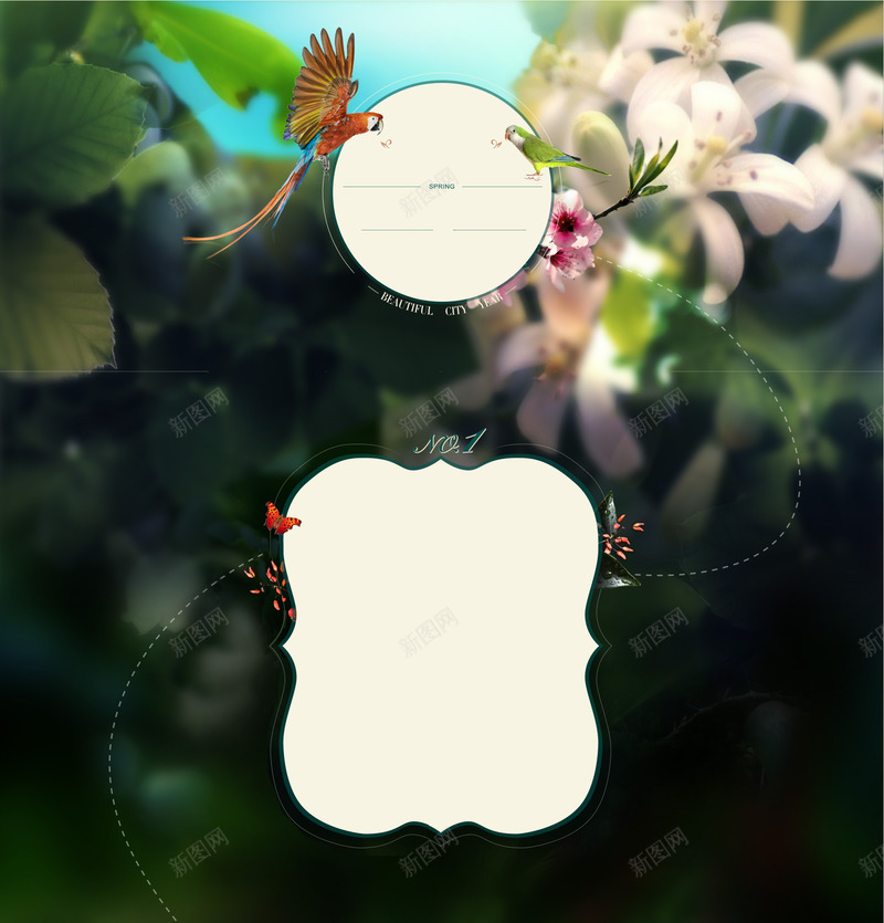 鹦鹉热带雨林海报背景七夕情人节png免抠素材_88icon https://88icon.com 情人 海报 热带雨林 背景 鹦鹉