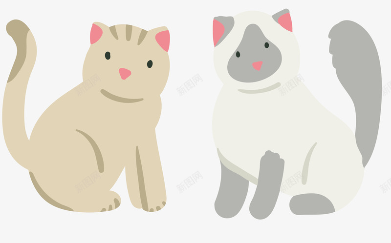 卡其色小花猫png免抠素材_88icon https://88icon.com 可爱小猫 宠物 宠物猫 白色小猫