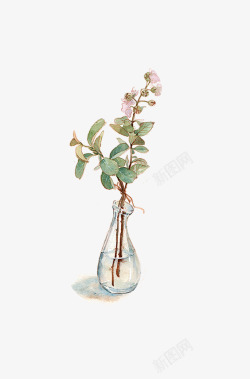 手绘玻璃花瓶瓶和花素材