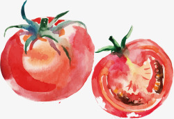 蔬菜水彩画番茄矢量图高清图片