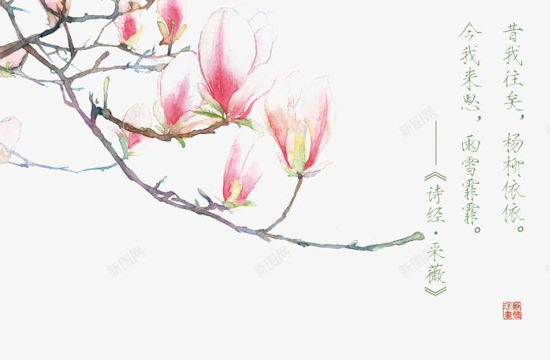 诗经花朵插画配图png免抠素材_88icon https://88icon.com 卡通 卡通插画 古风 唯美 手绘 花卉 诗歌 诗经 诗词