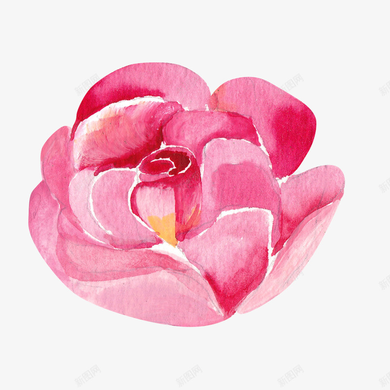 粉色少女心手绘花瓣png免抠素材_88icon https://88icon.com 卡片 少女心 情人节 手绘 水彩 节日 花卉 花瓣 装饰 贺卡