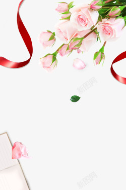 红色花朵情人节粉色玫瑰花高清图片