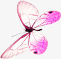 粉色透明蝴蝶七夕情人节素材
