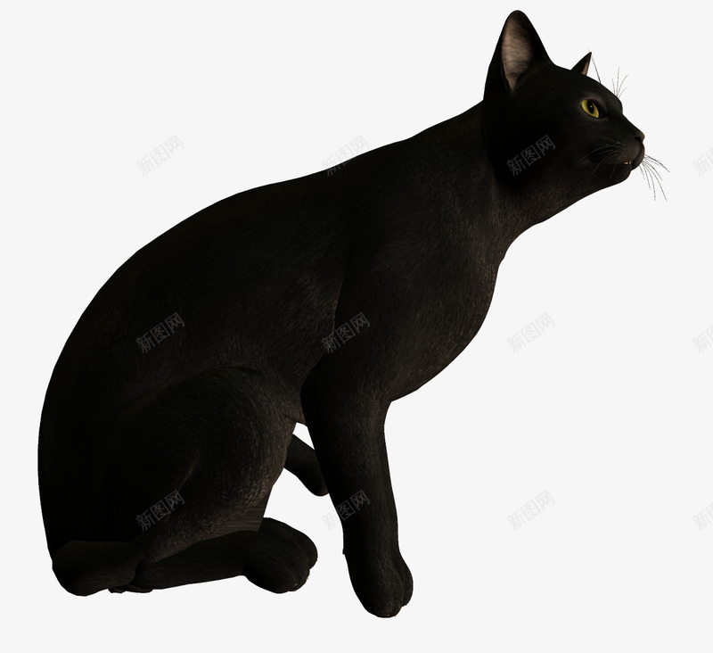 黑猫png免抠素材_88icon https://88icon.com 伸懒腰黑猫 动物 小猫咪 流浪猫 猫咪 黑猫