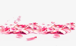 戒指与玫瑰瓣粉色玫瑰花瓣装饰高清图片
