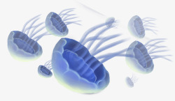 手绘装饰插图海洋生物水母插画素材