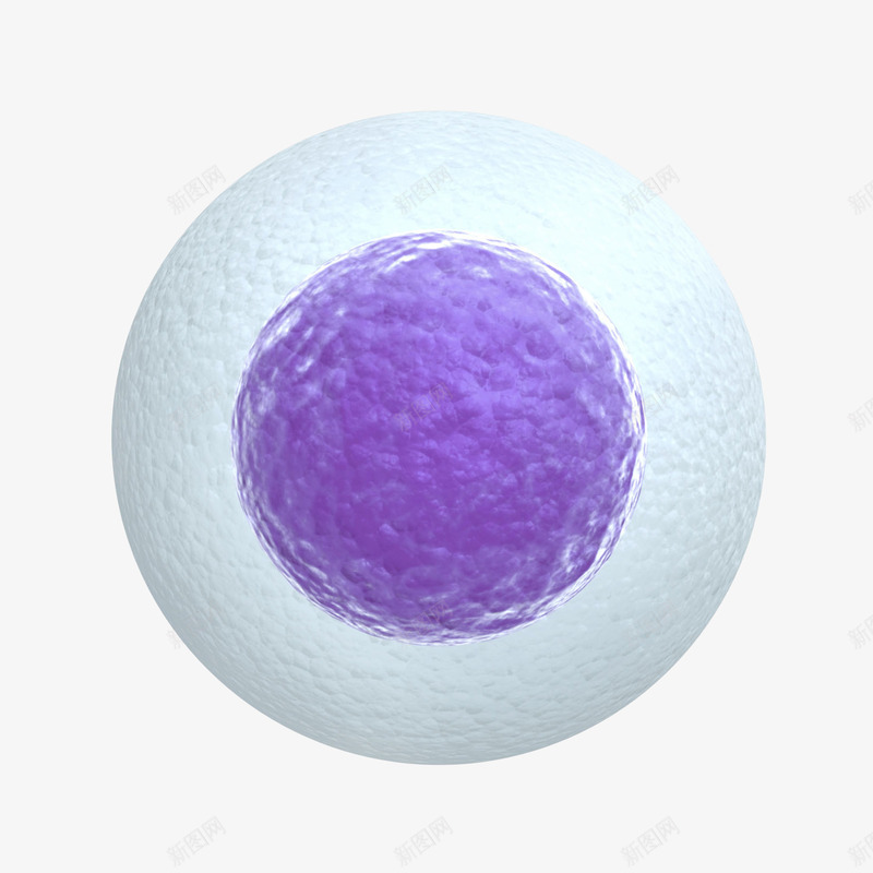 3D卵细胞立体插画png免抠素材_88icon https://88icon.com 3D卵细胞立体插画 医疗 卵 生殖 生物学细胞 细胞