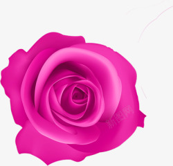 粉红色的玫瑰七夕情人节素材