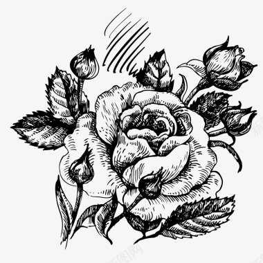 卡通波浪线手绘花草素描玫瑰花图标图标