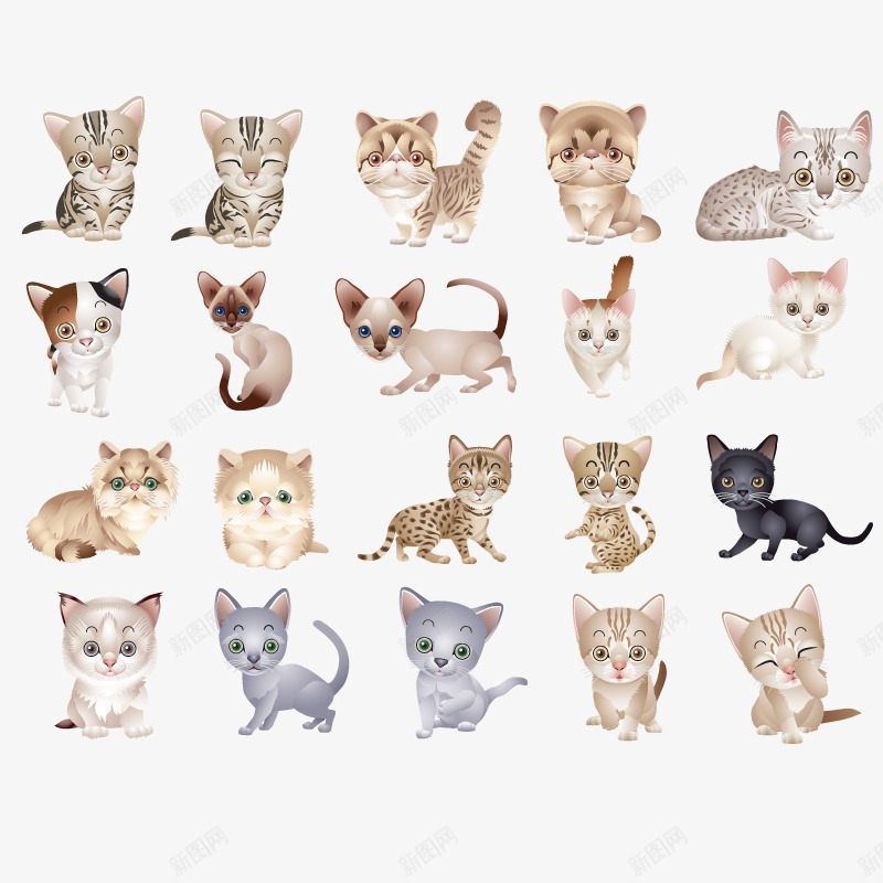 小猫png免抠素材_88icon https://88icon.com 喵喵 猫咪 猫猫