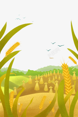 芒种插画二十四节气芒种夏日麦穗丰收清新高清图片