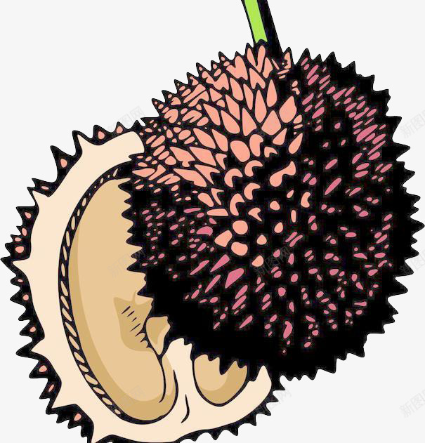 泰国榴莲卡通手绘插图png免抠素材_88icon https://88icon.com 专卖 传单 宣传 新鲜 榴莲 水果 泰国 泰国榴莲 海报 超市 超市传单