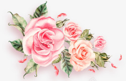 玫瑰LOVE粉色情人节玫瑰花丛高清图片
