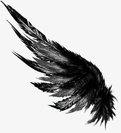 水彩羽毛背景黑色羽翼高清图片
