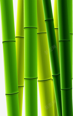 绿色竹子矢量图素材