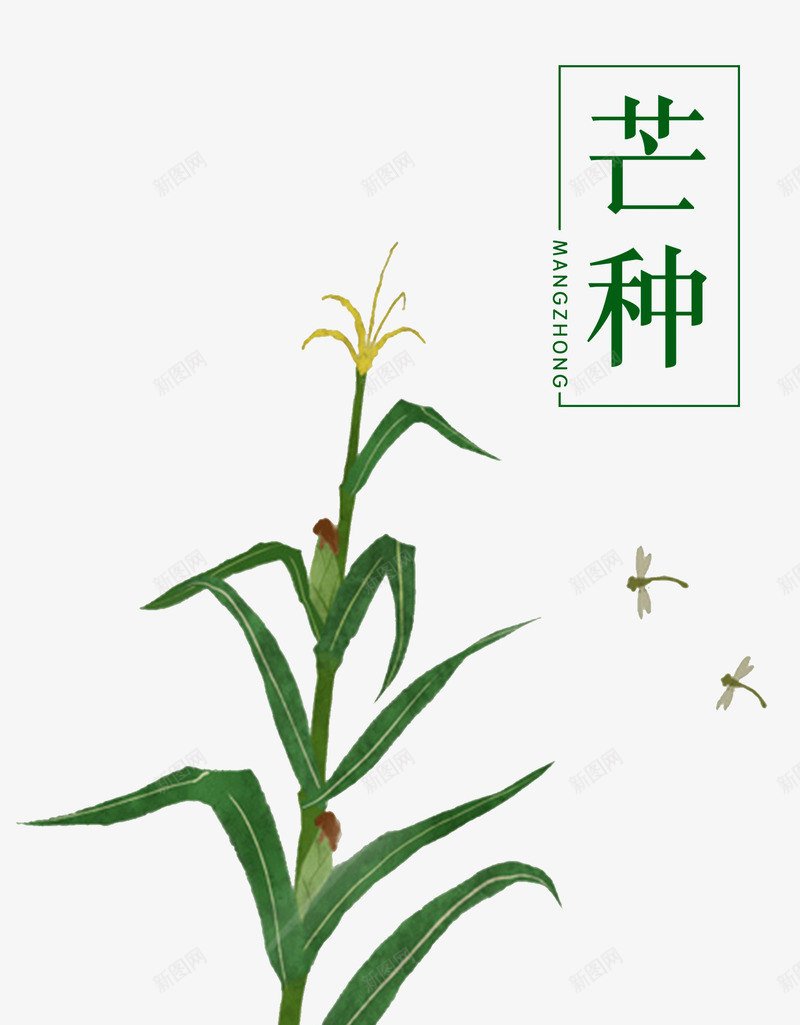 二十四节气芒种插画png免抠素材_88icon https://88icon.com 二十四节气 插画 播种 玉米 芒种 蜻蜓