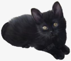 黑色小猫咪素材