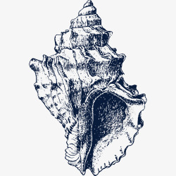 漂亮海螺手绘漂亮海螺贝壳图标高清图片