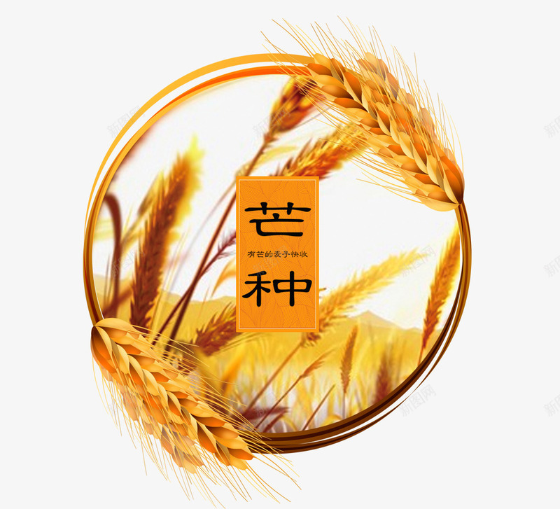 二十四节气芒种黄色稻谷插画psd免抠素材_88icon https://88icon.com 中华传统节日 二十四节气 复古 文艺 稻谷 简约 芒种节气 黄色