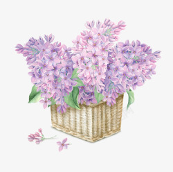 手绘紫色花朵花卉插花素材