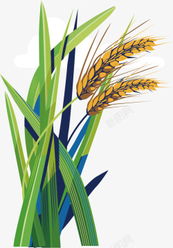 绿色粮食黄色小麦植物卡通插画矢量图高清图片