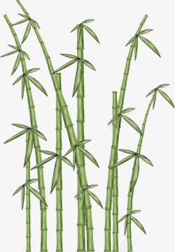 卡通手绘绿色竹子素材