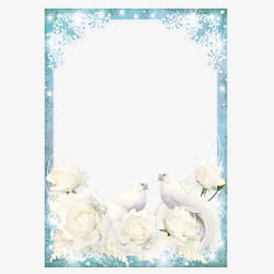 浪漫康乃馨白色鸽子花卉相框高清图片