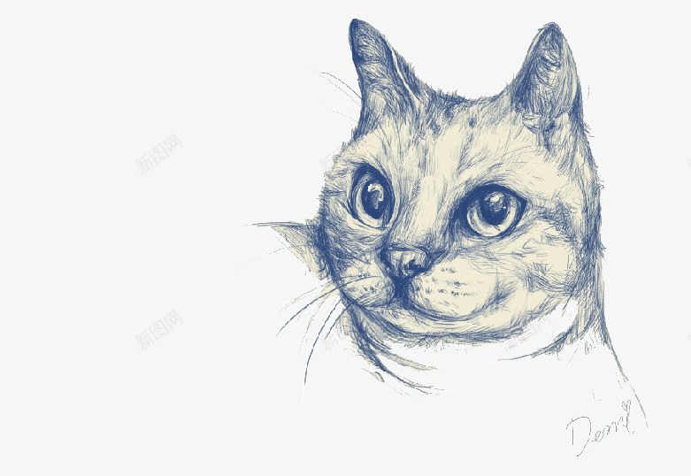 手绘猫咪头png免抠素材_88icon https://88icon.com 动物 卡通猫 可爱 手绘小猫 蓝色线猫