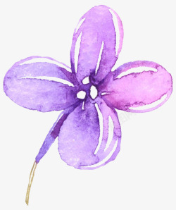 紫色手绘水彩花卉素材