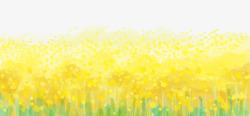 黄色风景春天风景水彩黄色油菜花田野插画高清图片