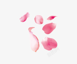 修饰玫瑰粉色花瓣高清图片