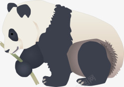 手绘可爱熊猫竹子图案矢量图素材