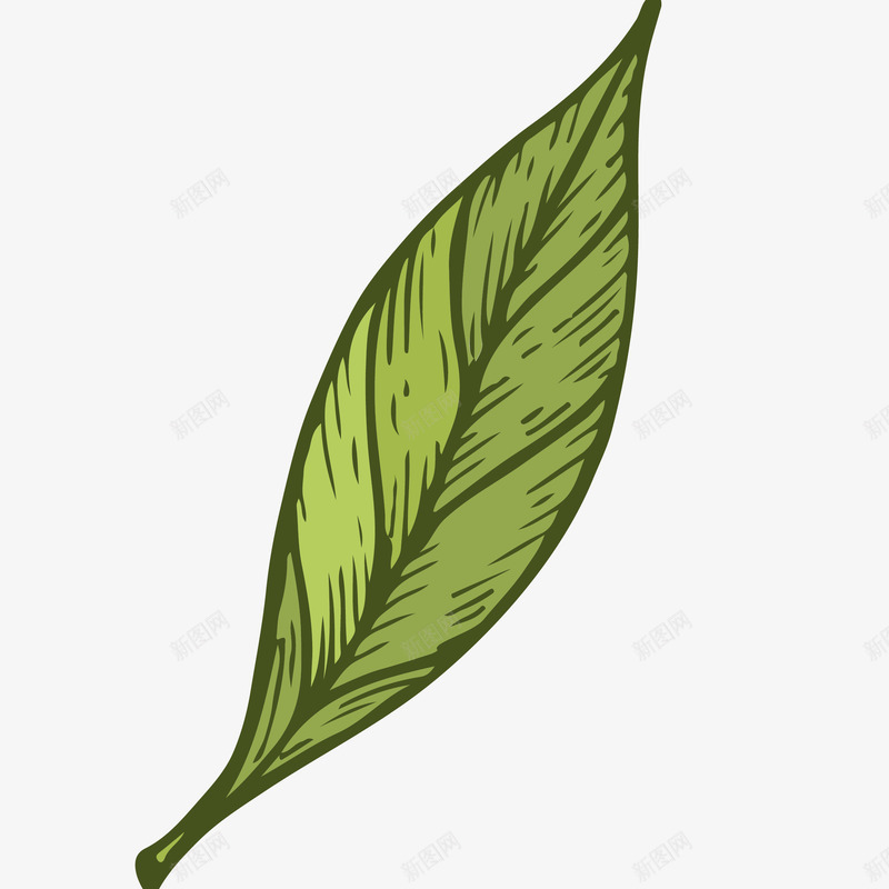 新鲜茶叶插画矢量图ai免抠素材_88icon https://88icon.com 免抠PNG 手绘茶叶 新鲜茶叶矢量插画 绿叶 茶叶 雕刻风格 矢量图