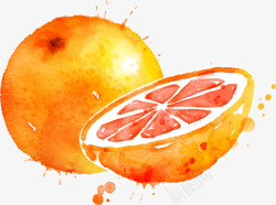 手绘水彩水果西柚素材